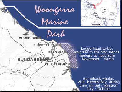 Woongarra Marine Park